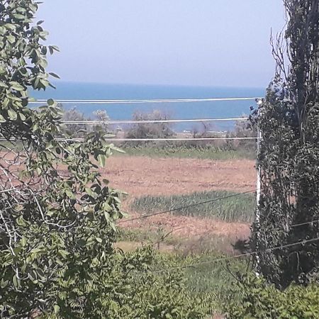 Bed and Breakfast Rey 2 Nabran Esterno foto