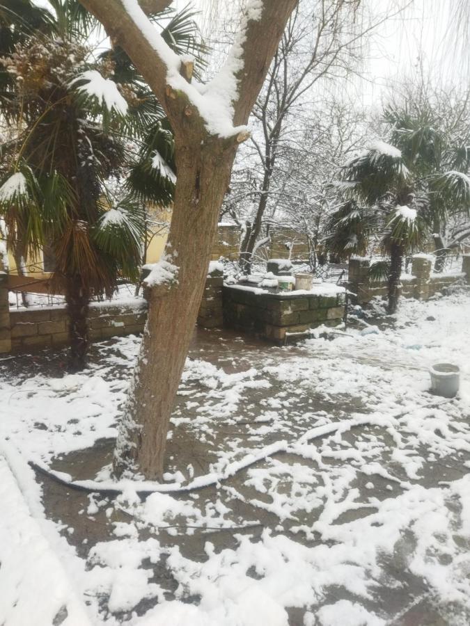 Bed and Breakfast Rey 2 Nabran Esterno foto